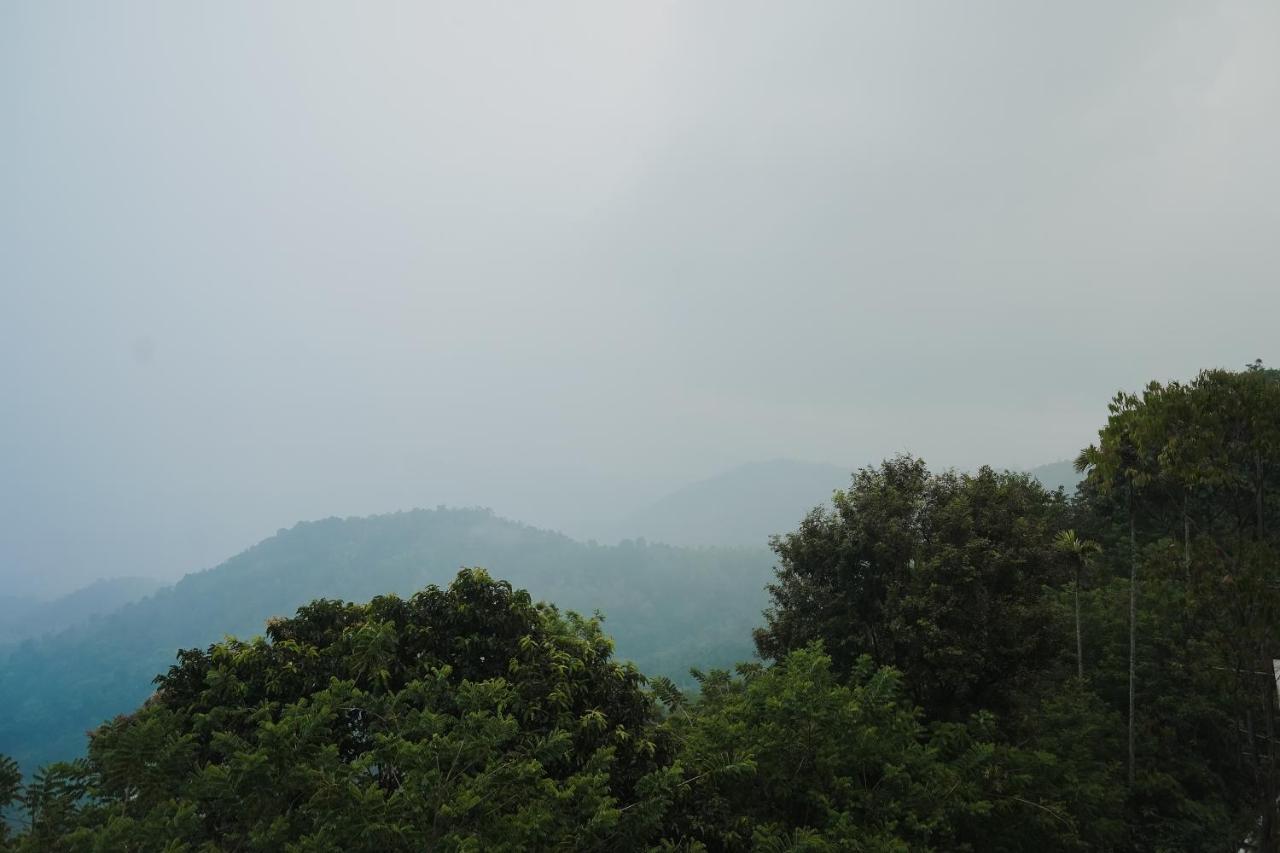 Sprise Munnar Resort And Spa エクステリア 写真